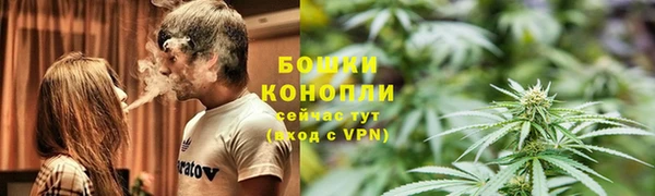амф Гусиноозёрск