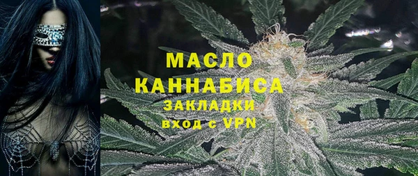 амф Гусиноозёрск