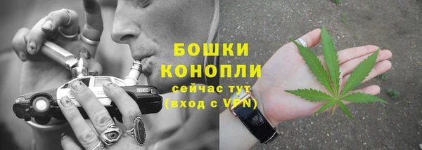 амф Гусиноозёрск