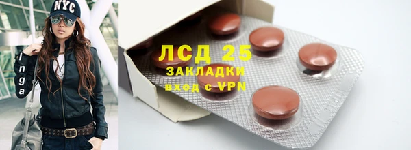 амф Гусиноозёрск