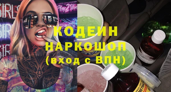 дмт Гусев