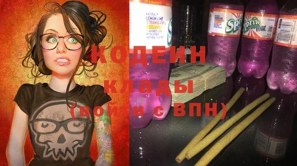 дмт Гусев