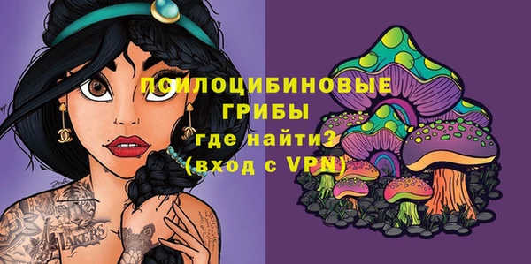 дмт Гусев