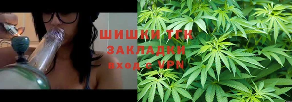 амф Гусиноозёрск