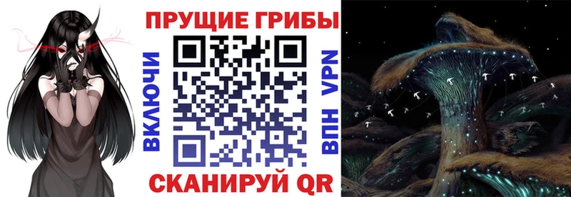 Галлюциногенные грибы Psilocybine cubensis  Купить где  Красноуральск 